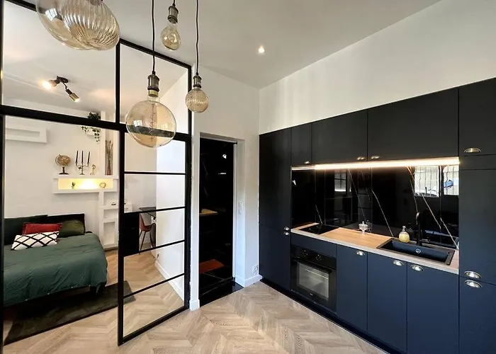 Апартаменты Chic Et Calme Тулуза